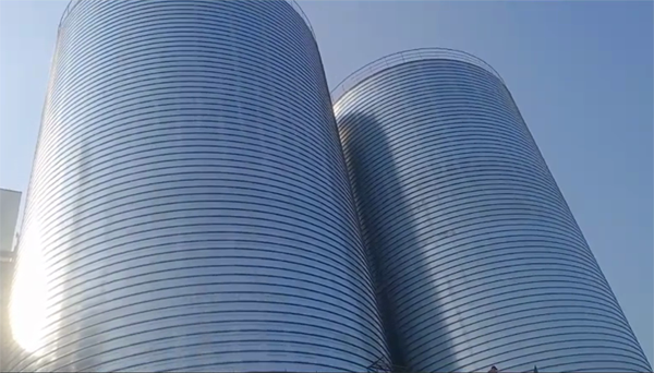 裕安2座混凝土高架卷板仓